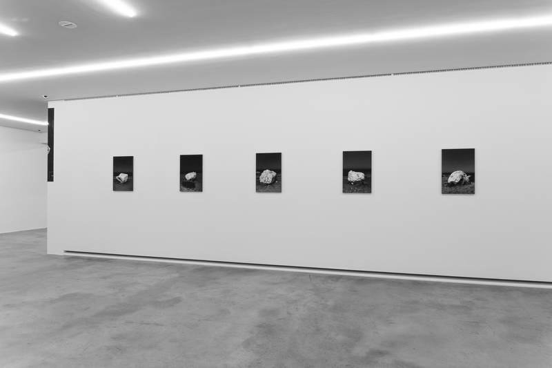 exhibition view: Butterland – Delusion of Photography, Museum Folkwang Essen